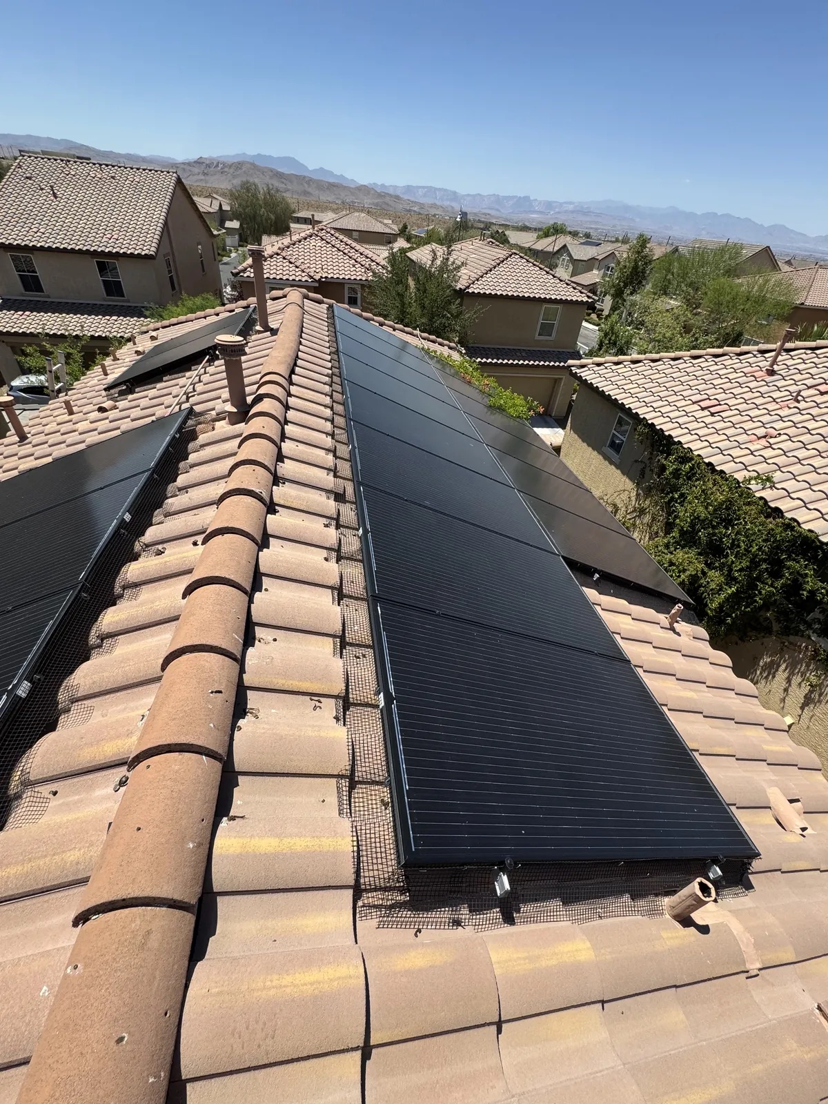 Complete pigeon proofing installation protecting solar panels on a Centennial Hills home